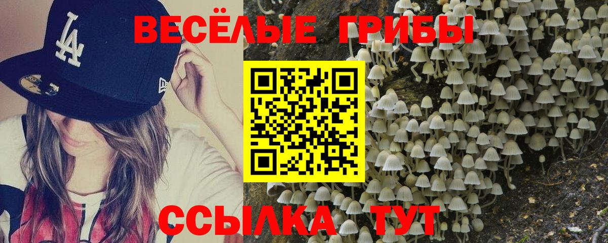 Торжок  Галлюциногенные грибы Psilocybe  как найти наркотики  Галлюциногенные грибы GOLDEN TEACHER  Вход с VPN 